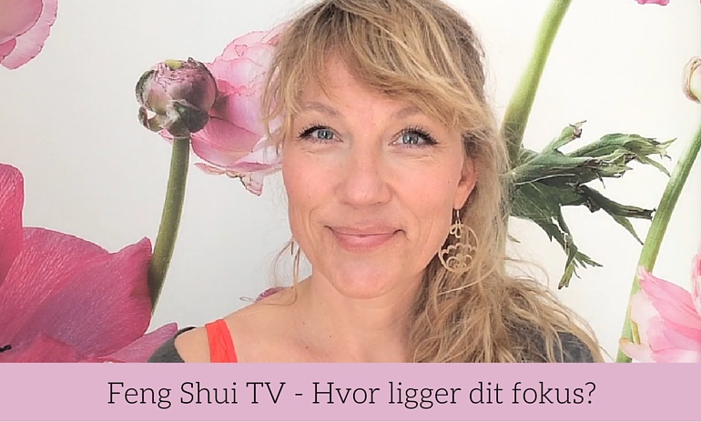 Hvor ligger dit fokus?