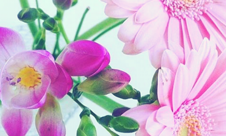 Feng shui planter og blomster